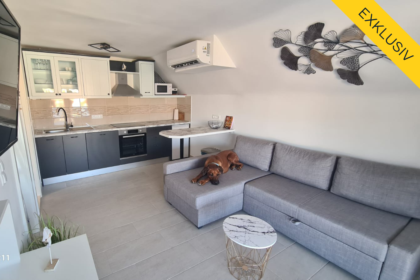 Die Ferienwohnungen in Vinišće verbinden modernen Komfort mit mediterranem Flair – ideal für Ihren nächsten Urlaub an der Adriaküste.